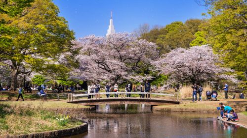 Tokyo City Guide: Best Things To Do In The City | Zee Zest